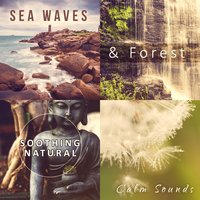 Roses Bouquette (Calm Waves) - Just Relax Music Universe