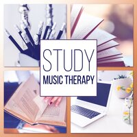 Brain Exercises and Memory Games - Natural Study Aid Consort