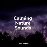 Beach, Far, Waves, Birds, Wind - Monarch Baby Lullaby Institute & Sampling XL & Sleep Tight
