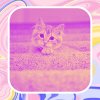 Delightful Jazz Saxophone - Vibe for Home Cats - Música para dormir Gatos