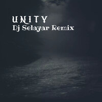 unity - Selayar Project