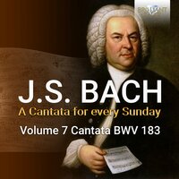 Sie werden euch in den Bann tun, BWV 183 - Pieter Jan Leusink & Netherlands Bach Collegium & Marjon Strijk & Johann Sebastian Bach