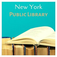 A Relaxing Paradise between Books - Soft Background Music