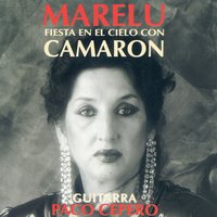Pasan los Días - Marelu