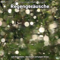 Regengeräusche, pt. 72 - Regen zum Einschlafen für Kinder & Schlafmusik & Entspannungsmusik