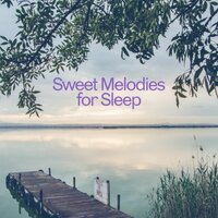 Peaceful Essence of Calm - symphony orchestra sound sun beach sand summer