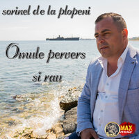Vin Mascatii, Vine Garda - SORINEL DE LA PLOPENI
