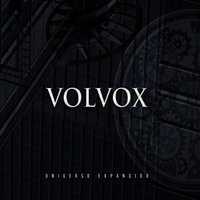 Tarantino - Volvox