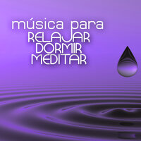 Tarde Tranquila - Relajar Dormir Meditar