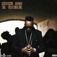 Good Girls Love Bad Guys - Garrison hawk