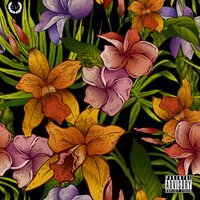 Lautlos - Cassian & Sizzo & STPFN