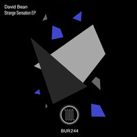 New Dimension - David Bean