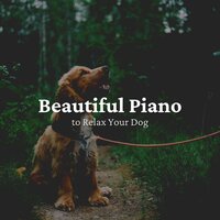 Dog Relaxation Piano Sounds - Calming for Dogs