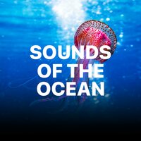 Oceanside House - Nature Sounds Nature Seasons