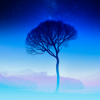 Elegy - Dave Hewson & Paul Lennon