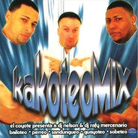 Voy Cazando - Dj Nelson & DJ Rafy Mercenario