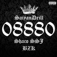 08880 - Shaco SSJ & BzK