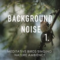 Meditative Birds Singing Nature Ambience, Pt. 18 - Thomas O'Reilly