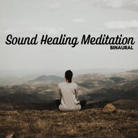 Cathartic Dream - Binaural Guidance & Binaural Healing & Binaural Landscapes