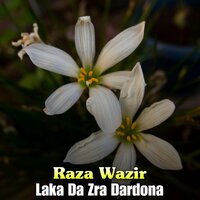 Der Sochona Da Betoon - Raza Wazir