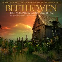 Violin Concerto in D Major, Op. 61: III. Rondo - allegro - Ludwig van Beethoven & The Hague Philharmonic Orchestra & Willem van Otterloo