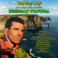The Old Boreen - Brendan O'Dowda