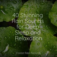 Wind and Rain - Yoga Para Ninos & Deep Sleep & Sleep Rain