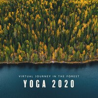 Sleeptime Music - Relaxing Nature Sounds Collection