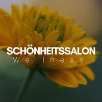 Schönheitssalon - Zen Dreaming Experience