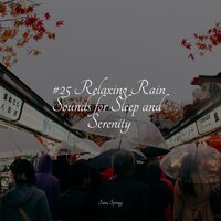 Rainy Beach - Weather Sounds & Sonido Del Bosque y Naturaleza & Best Kids Songs