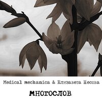 Мой кареглазый бог - Medical mechanica