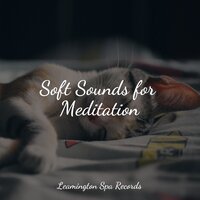 Ocean Waves - Rain Sounds & Nature Sounds & Rain Hard & Deep Sleep Music Experience