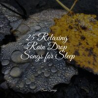 Rainy Roads - Classical New Age Piano Music & Sonidos de lluvia para dormir & Loopable Rain