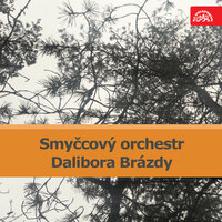 Scene of the Storm - Smyčcový orchestr Dalibora Brázdy