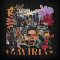 La Fortuna - RLX & Primo Profit