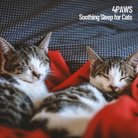 Sleep Music - Cat Music & Solfeggio Healing Frequencies MT & Dogs music