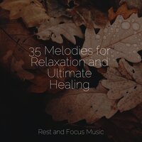 Feeling Safe - Bath Spa Relaxing Music Zone & The White Noise Zen & Meditation Sound Lab & Sleep Sound Library
