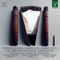 Sonata in B-Flat Major, WKO 110d, A5:5A: III. Menuetto - Mariya Miliutsina & Amarilis Dueñas & Natalia Lentas
