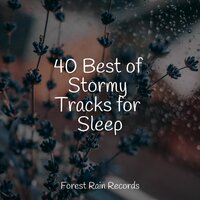Rainy Night - The Rain Library & It's Raining & Natureza Musica Bem-Estar Academia