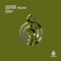 Another Feeling - Liam Sieker & Ian Dillon