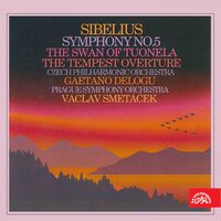 The Swan of Tuonela. Symphonic Poem, . - Czech Philharmonic, Gaetano Delogu, František Kimel & Czech Philharmonic & Gaetano Delogu & Frantisek Kimel & Ян Сибелиус