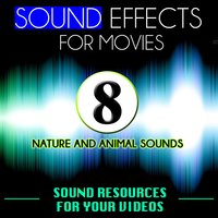 Dogs Bark, Groans - Tv Resource Studio
