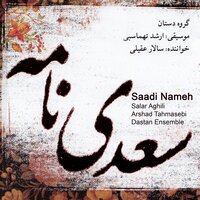 Zolfe Delband (Chahar Mezrab Tasnif Chahargah) - Salar Aghili & Arshad Tahmasebi & Dastan Ensemble & Hamid Motebassem & Hosein Behroozinia & Said Farajpouri