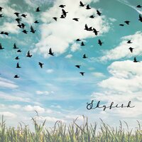 Skyfish - Hal