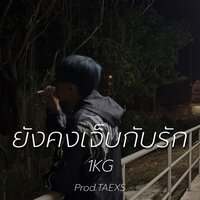 ยังคงเจ็บกับรัก - 1kg