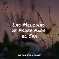 Las Estrellas De Arriba - Academia de Música para Massagem Relaxamento & Musica Relajante Specialistas & Sueño Lucido