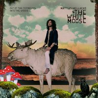 Love In Need - Mattias Hellberg & The White Moose & Mattias Hellberg & The White Moose