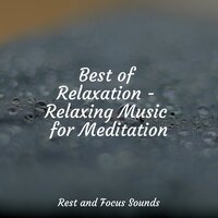Walk Through Woods - Yoga Rain & Relaxing Music Therapy & Natural Sound Makers