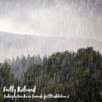 Introspective Rain Sounds for Meditation, Pt. 11 - Steve Brassel