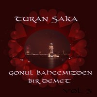 Hicran Olacaksa Bu Aşkın - Turan Saka